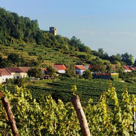 Prabatsch-Aichinger Winzergut Apartment Langenlois Luaran gambar