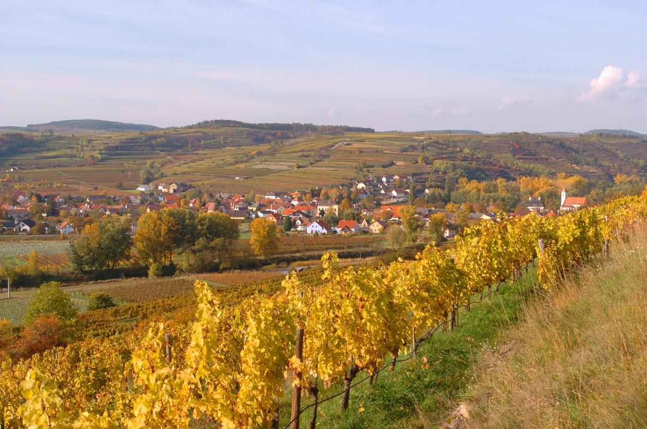 Prabatsch-Aichinger Winzergut Apartment Langenlois Luaran gambar
