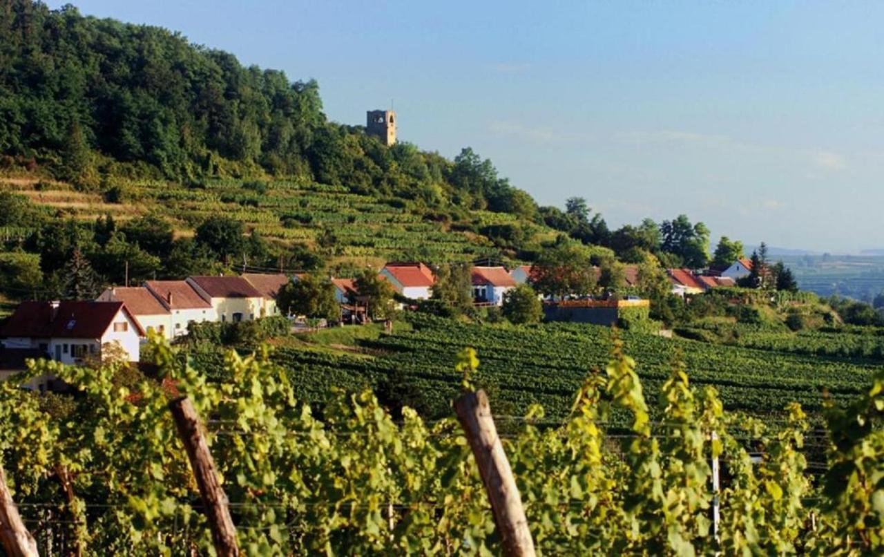 Prabatsch-Aichinger Winzergut Apartment Langenlois Luaran gambar